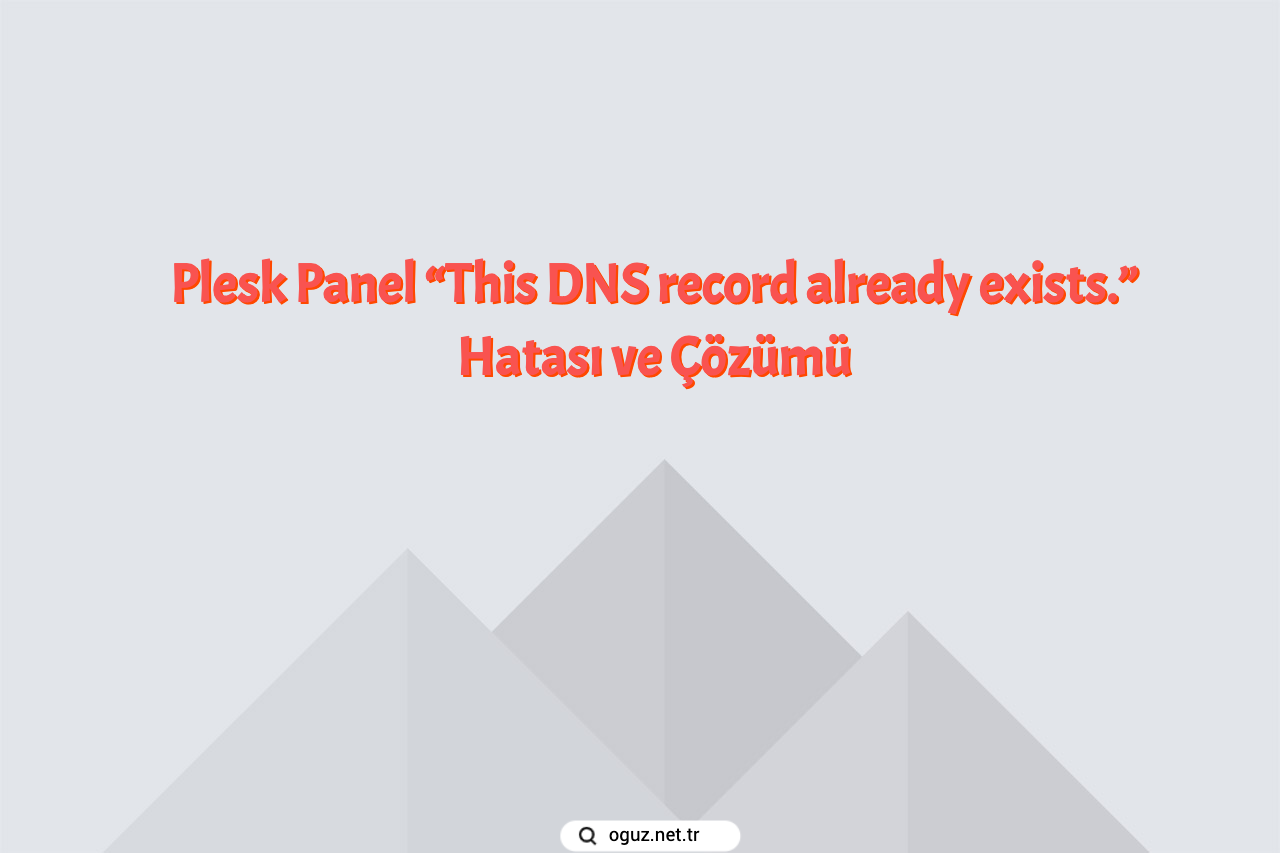 Plesk Panel “This DNS record already exists.” Hatası ve Çözümü